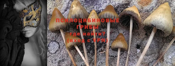 спайс Алексин