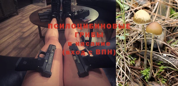 спайс Алексин